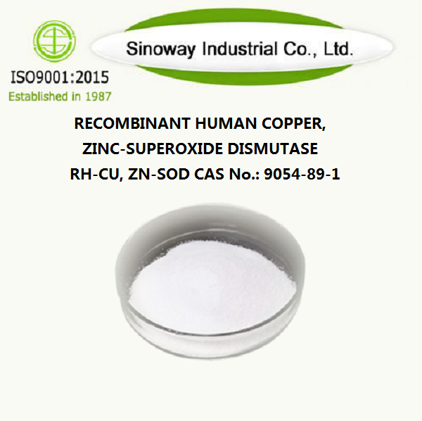 組換えヒト銅、亜鉛 - スーパーオキシドジスムターゼRh  -  Cu、Zn  -  SOD 9054-89-1