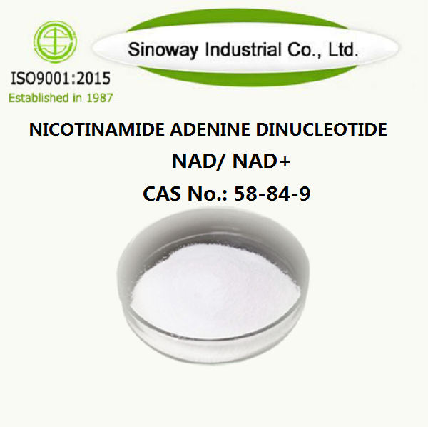 ニコチンアミドアデニンジヌクレオチド53-84-9