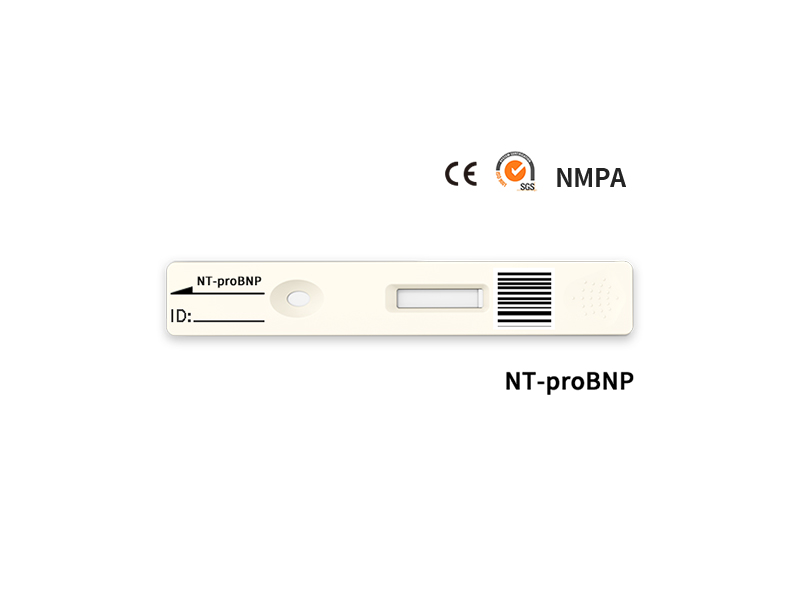 NT-PROBNP迅速定量試験