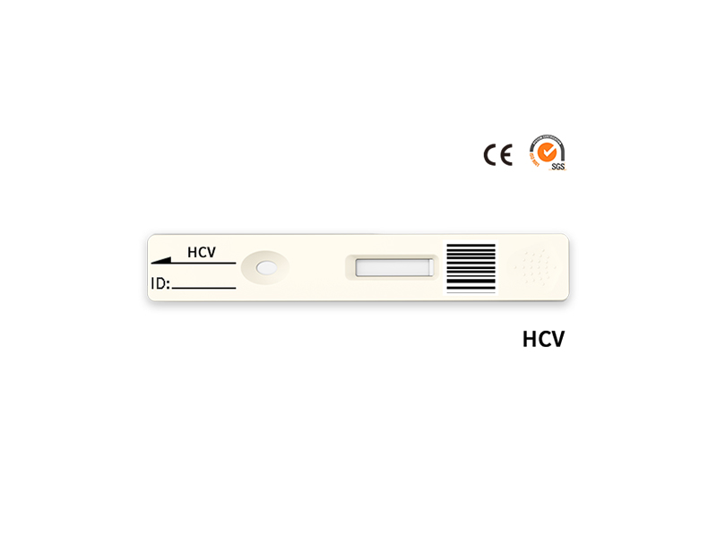 HCV迅速定量的試験