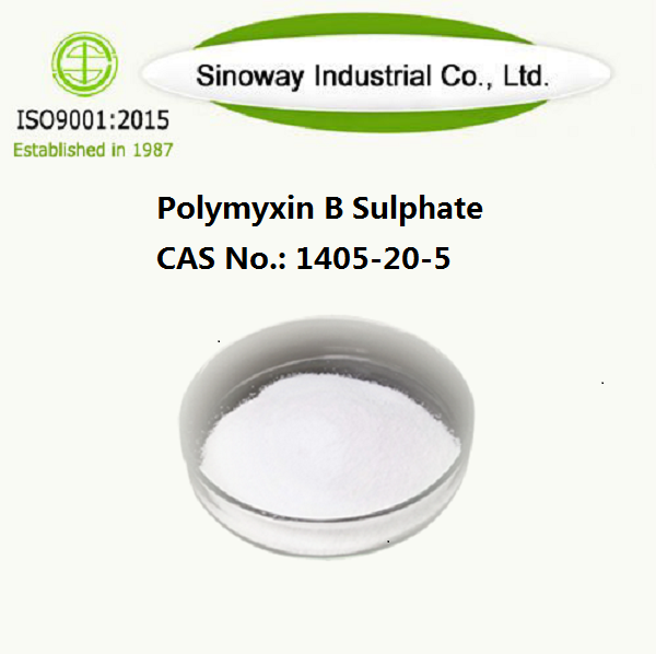ポリミキシン B 硫酸塩 1405-20-5